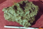 Сихотэ-Алинский железный метеорит