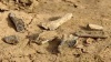 В Австралии найден палеолитический клад